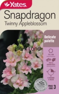 SNAPDRAGON TWINNY APPLEBLOSSOM SEED PACKET