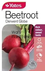 BEETROOT DERWENT GLOBE NZ SEED PACKET