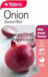 ONION MILD SWEET RED SEED PACKET