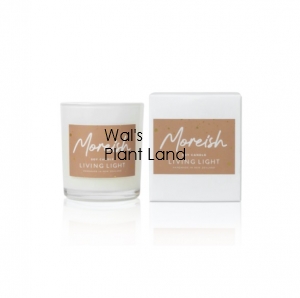 MOREISH SOY CANDLE MINI LIVING LIGHT