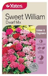 SWEET WILLIAM DWARF MIX SEED PACKET