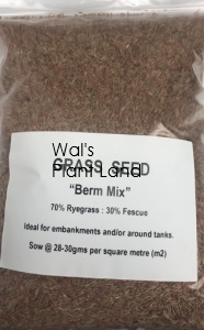 GRASS SEED BERM 1KG