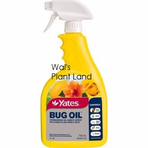 YATES BUG OIL GUN 750ML