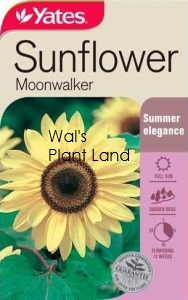 SUNFLOWER MOONWALKER SEED PACKET