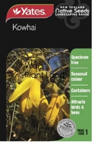 NATIVE KOWHAI SEED PACKET