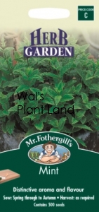 MINT SEED PACKET