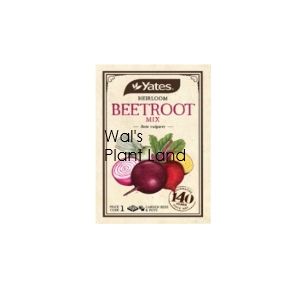 HEIRLOOM BEETROOT MIX SEED PACKET