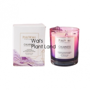 CALMNESS LAVENDER WITH AMETHYST CRYSTAL ENERGY CANDLE 200GM