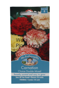 CARNATION CHOICE DOUBLE MIXED