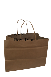 BAG PAPER WITH HANDLES