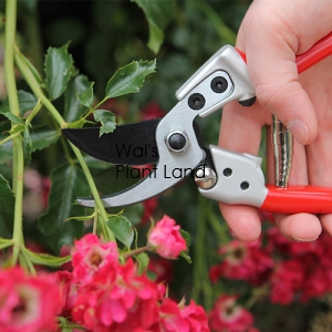 BYPASS PRUNER 18.7CM