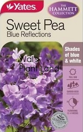 HAMM SWEET PEA BLUE REFLECTION SEED PACKET