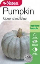 PUMPKIN QUEENSLAND BLUE SEED PACKET