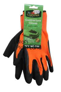 GLOVES LATEX ASSTD LG