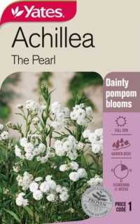 ACHILLEA THE PEARL SEED PACKET