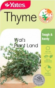 THYME SEED PACKET