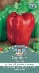 CAPSICUM GIANT BELL SEED PACKET