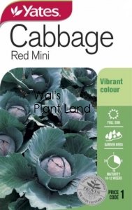 CABBAGE RED MINI NZ SEED PACKET