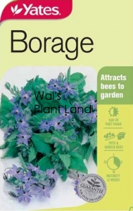 BORAGE SEED PACKET