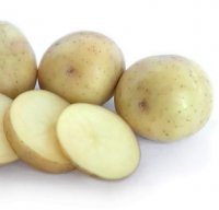 POTATOES SEED NADINE 3KG BAG