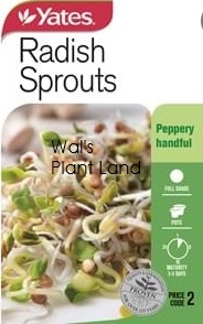 RADISH SPROUTS NZ SEED PACKET