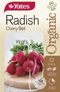 ORGANIC RADISH CHERRY BELL SEED PACKET