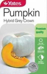 PUMPKIN HYBRID GREY CROWN SEED PACKET