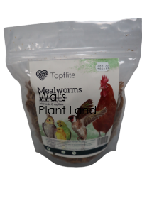 MEAL WORMS 125gm