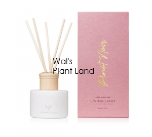 PINOT NOIR REED DIFFUSER LIVING LIGHT