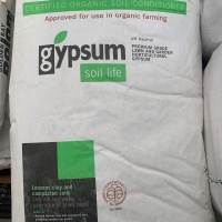 GYPSUM 1KG