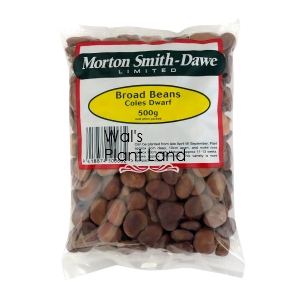 BROAD BEANS COLES DWARF 500G