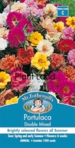 PORTULACA DOUBLE MIXED SEED PACKET