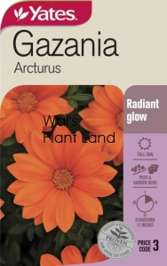 GAZANIA ARCTURUS NZ SEED PACKET