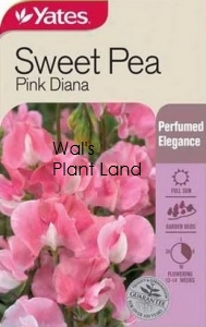 SWEET PEA PINK DIANA SEED PACKET