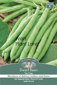 DWARF BEAN TOP CROP SEED PACKET