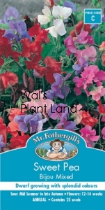 SWEET PEA BIJOU MIXED SEED PACKET