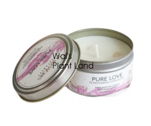 PURE LOVE ROSE WITH ROSE QUARTZ CRYSTAL ENERGY CANDLE 80GM