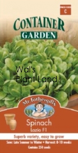 SPINACH LAZIO CONTAINER GARDEN SEED PACKET