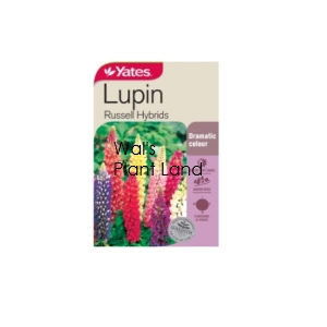 LUPINS RUSSELL NZ SEED PACKET