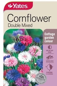 CORNFLOWER DOUBLE MIX SEED PACKET