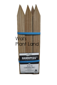 HANDI-PEGS CCA 0042X0032X0600 6 PC PK