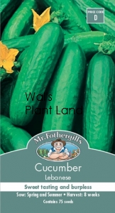 CUCUMBER LEBANESE SEED PACKET