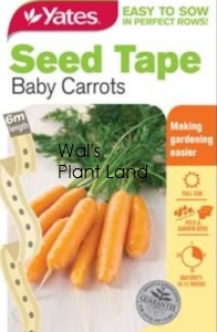 SEED TAPE BABY CARROT SEED PACKET