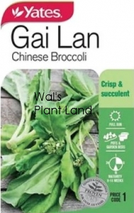 CHINESE BROCCOLI GAI LAN SEED PACKET