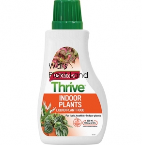 THRIVE LIQUID CONCENTRATE INDOOR 500ML