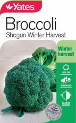 BROCCOLI SHOGUN WINTER HARVEST SEED PACKET