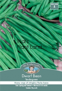 DWARF BEAN TENDER GREEN SEED PACKET