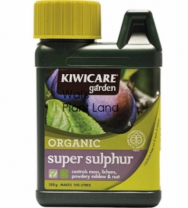 KIWI CARE SUPER SULPHUR GRAN 200G