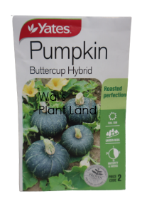 PUMPKIN BUTTERCUP HYBRID SEED PACKET