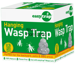 EASY TRAP WASPS TRAP